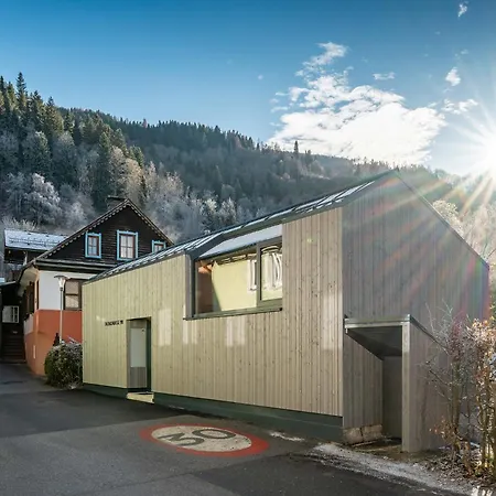 Panorama 198 - Tiny House - By Mynests Schladming